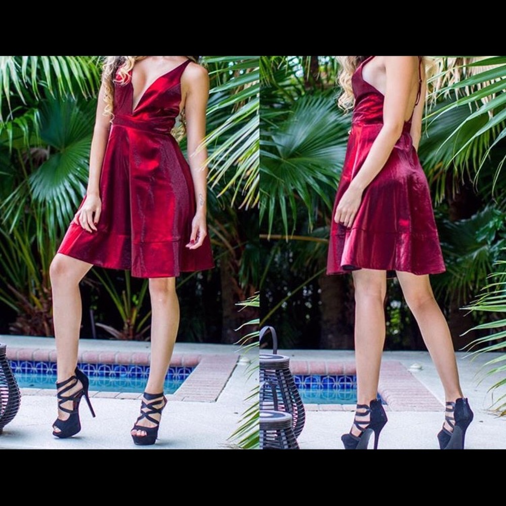 NWT V-neck wine dress